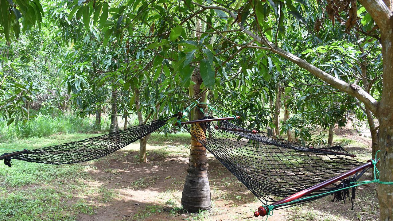 River Glamping By Gaga Bees Udawalawe Exterior photo
