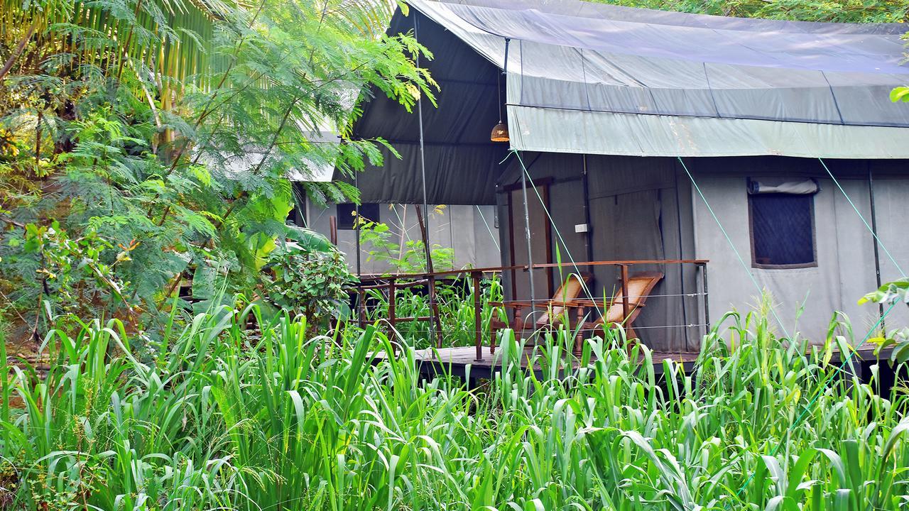 River Glamping By Gaga Bees Udawalawe Exterior photo