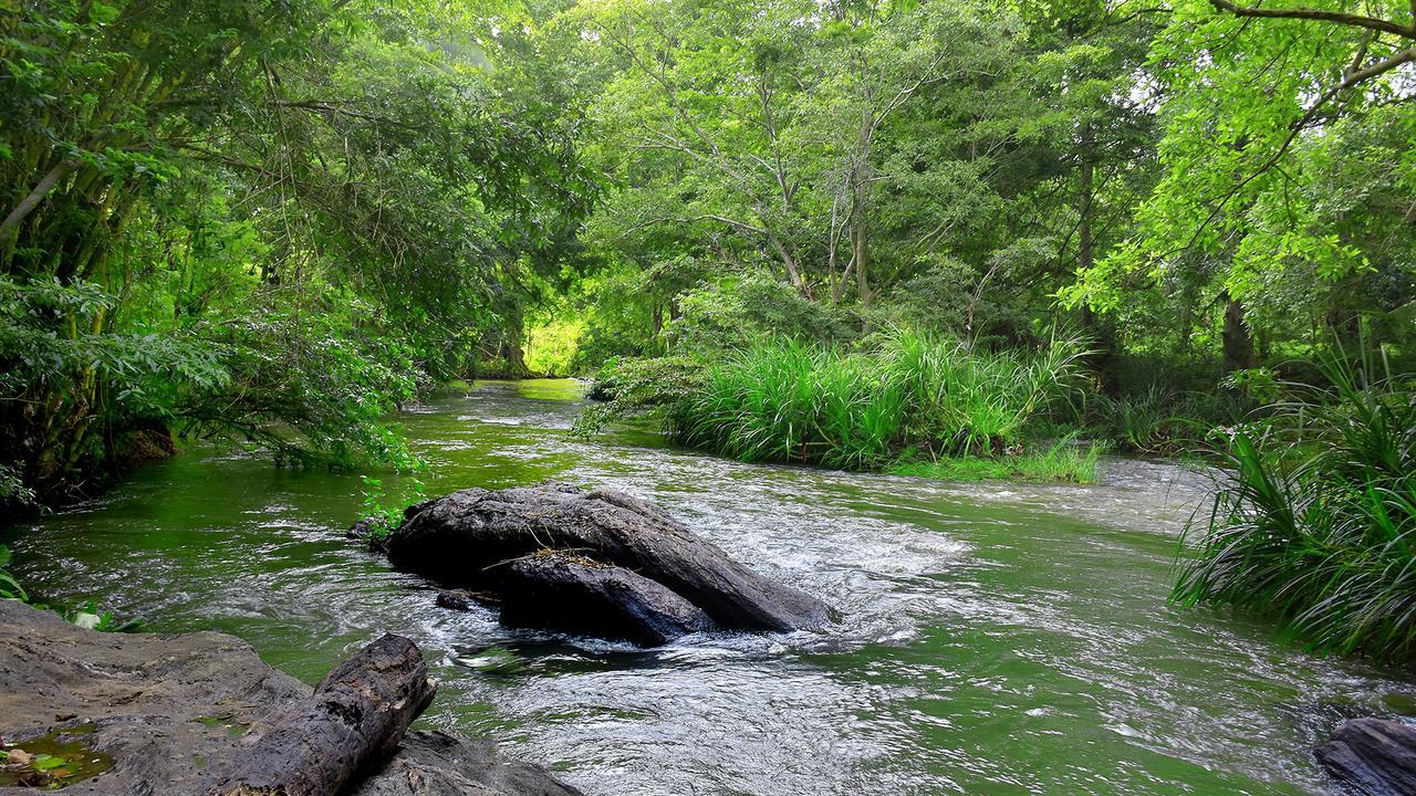 River Glamping By Gaga Bees Udawalawe Exterior photo