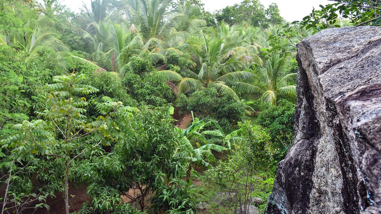 River Glamping By Gaga Bees Udawalawe Exterior photo
